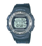 CASIO BG173V-2AV